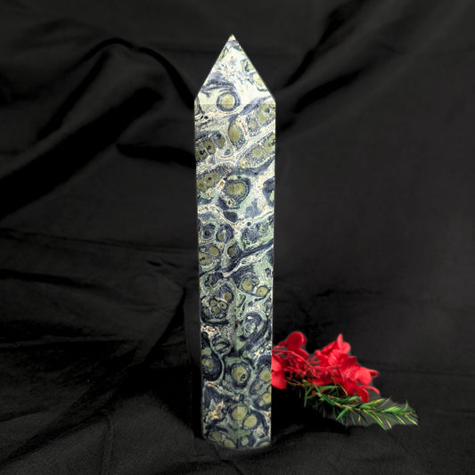 Kambaba Jasper Point (XL)