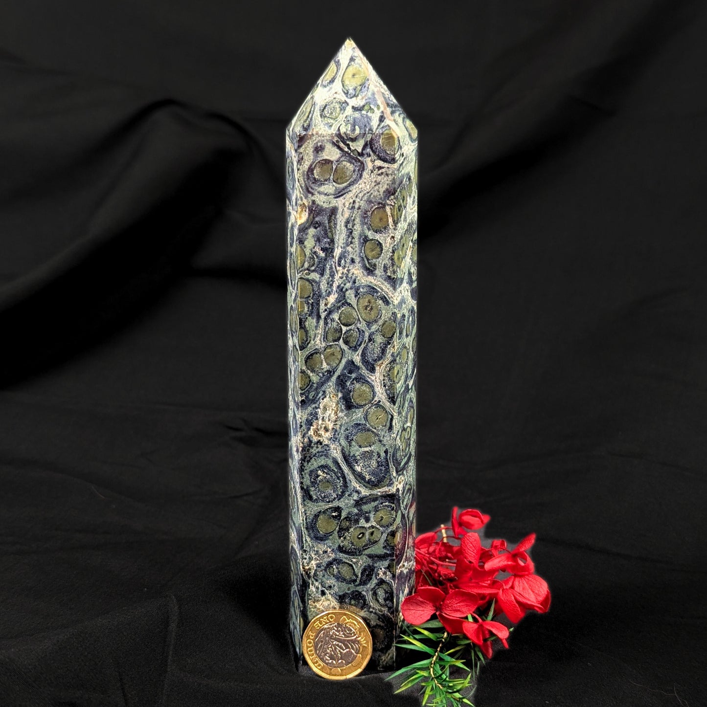 Kambaba Jasper Point (XL)