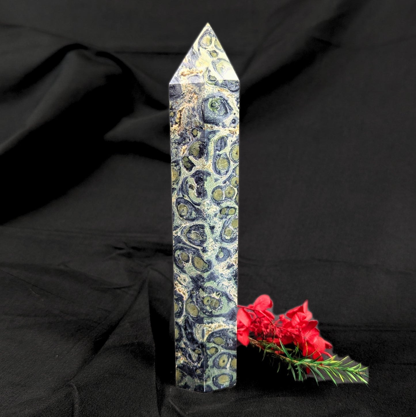 Kambaba Jasper Point (XL)