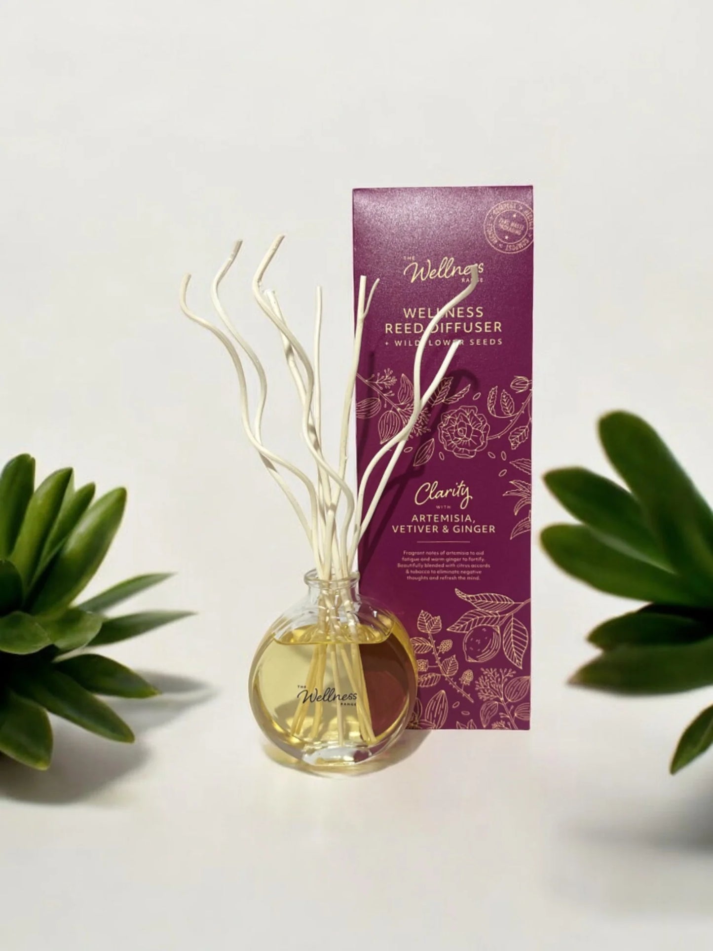 Potters Crouch Clarity Wellness Reed Diffuser with Artemisia, Vetiver & Ginger - 125ml