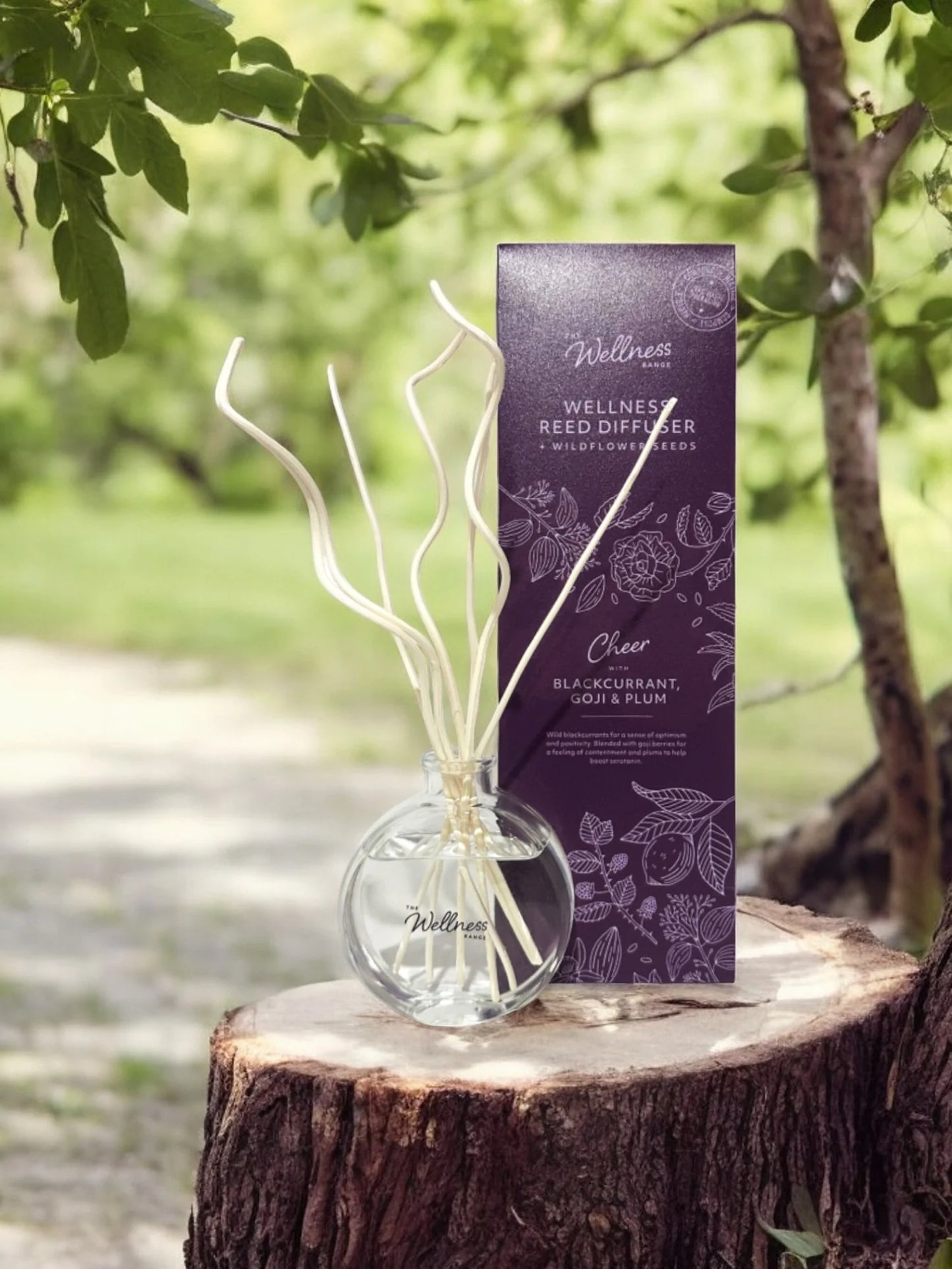 Potters Crouch Cheer Blackcurrant, Goji & Plum Wellness Reed Diffuser - 125ml