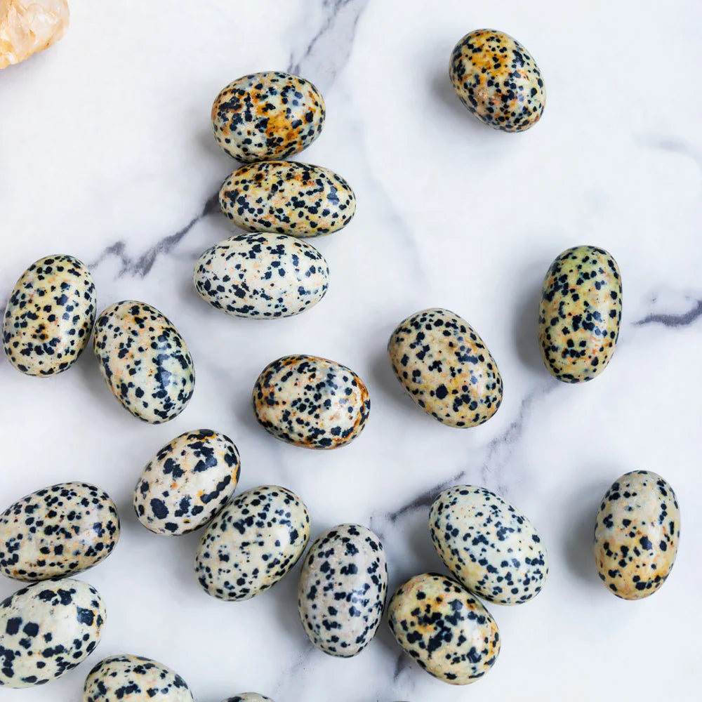 Dalmatian Jasper Crystal Tumbled Stones on a marble surface.