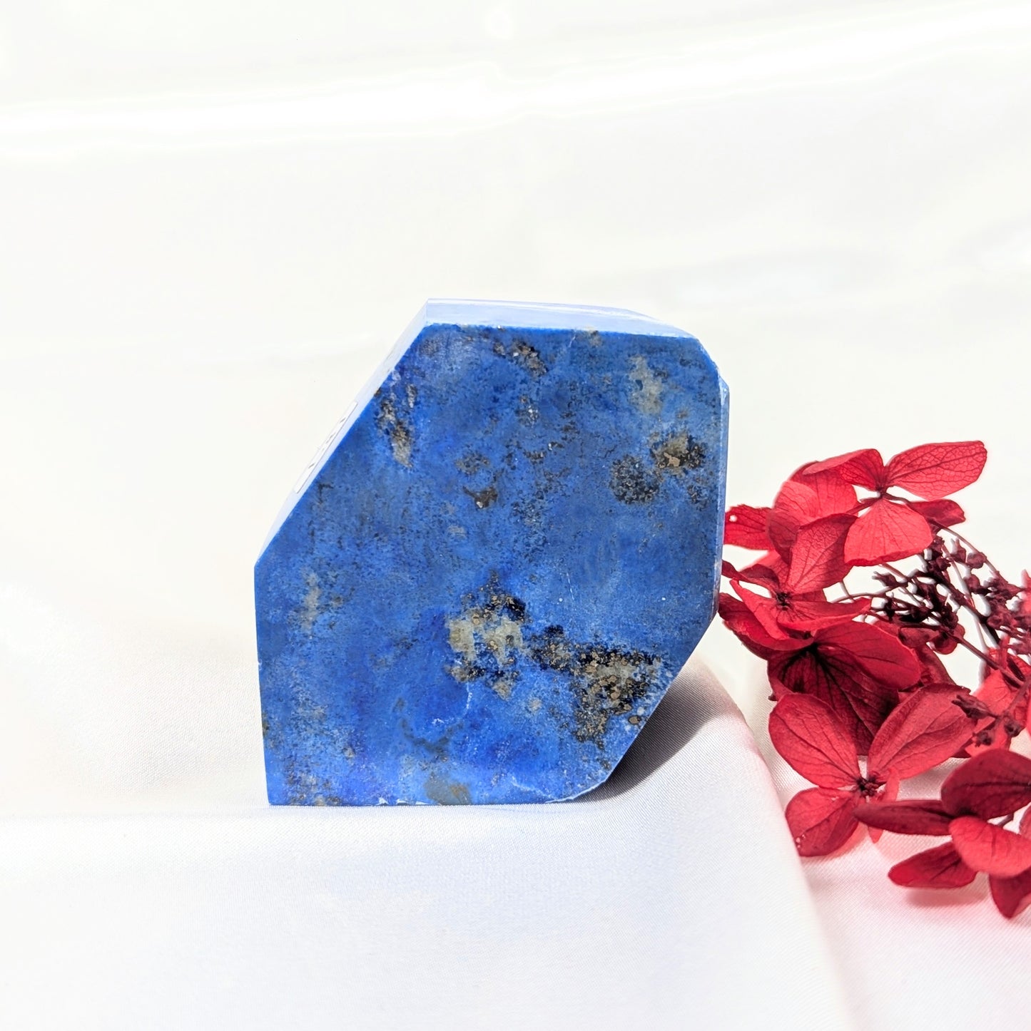 Lapis Lazuli Healing Crystal Freeform Back
