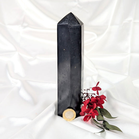 black tourmaline crystal