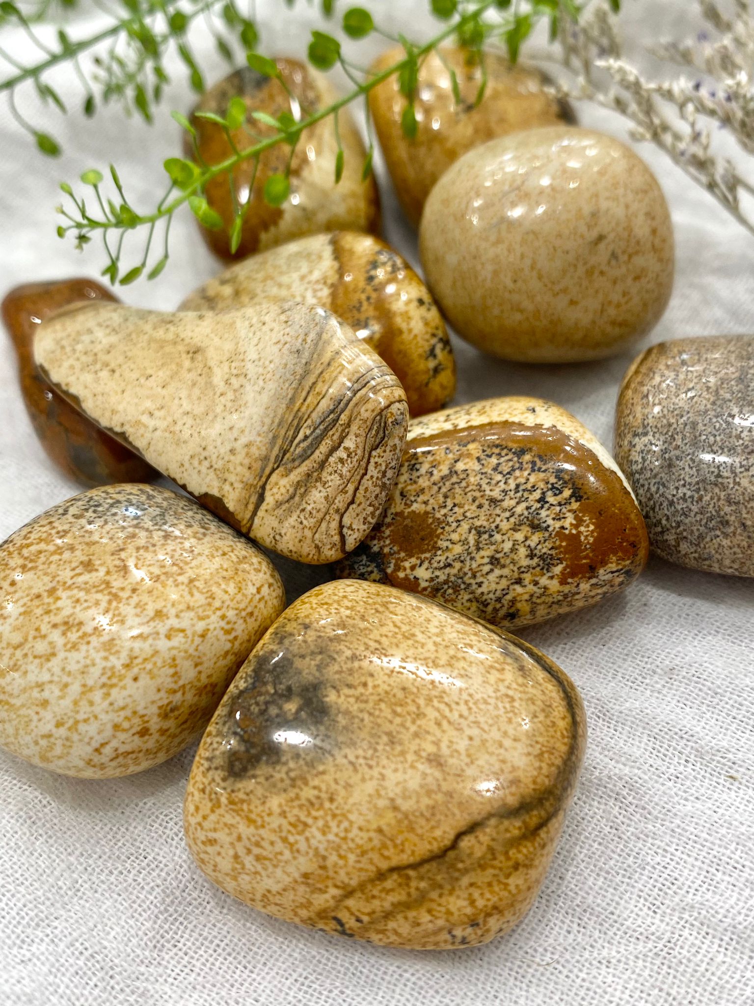 Picture Jasper Crystal Tumblestones
