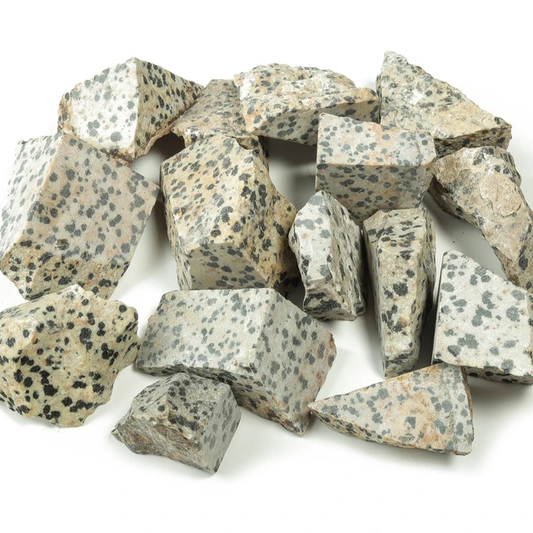 Rough Dalmatian Jasper