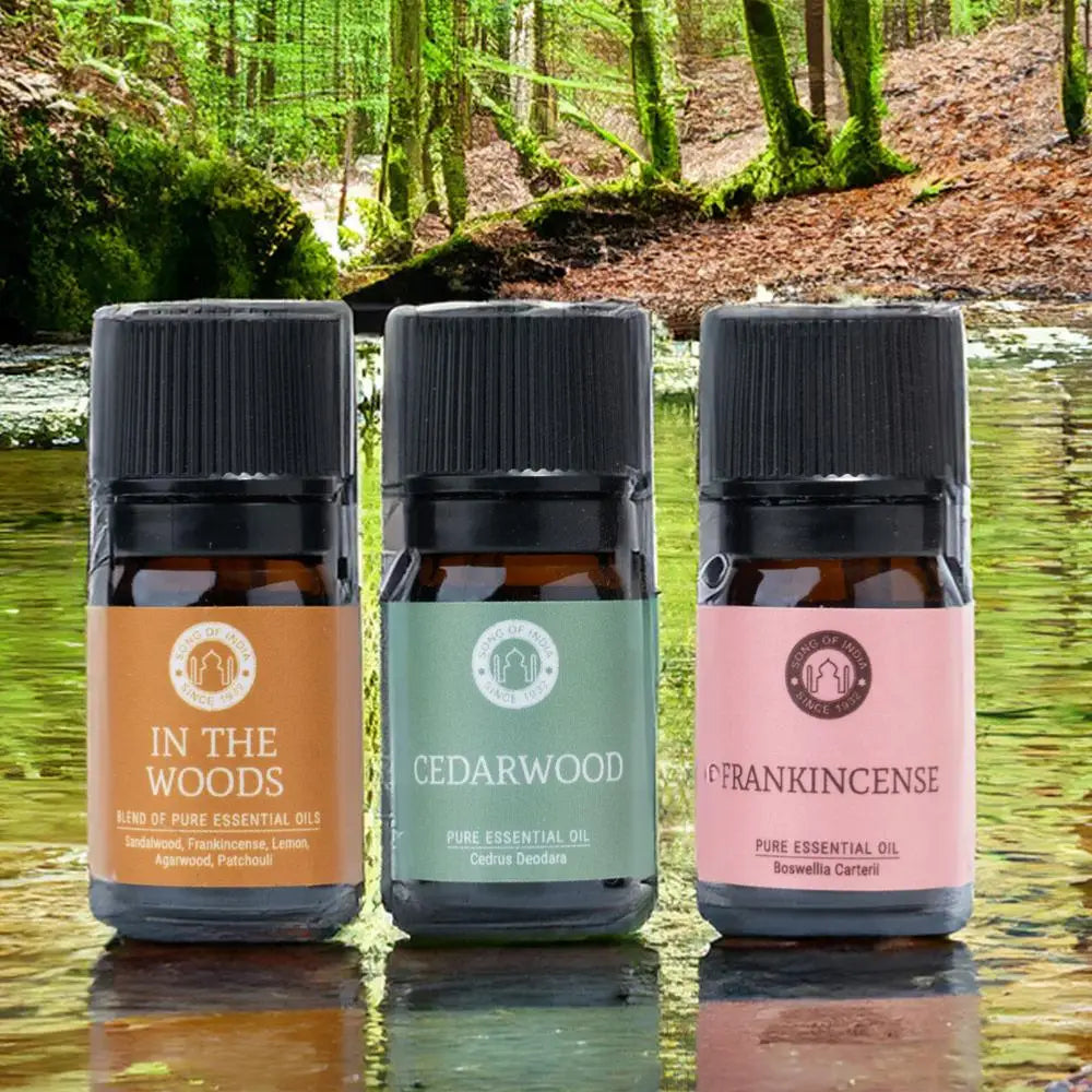 Aromatherapy Oils Woodsy Collection 3 X 5ml