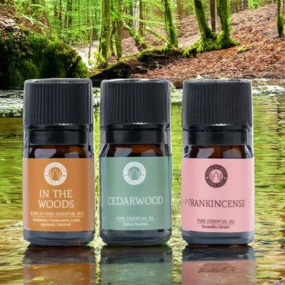 Aromatherapy Oils Woodsy Collection 3 X 5ml