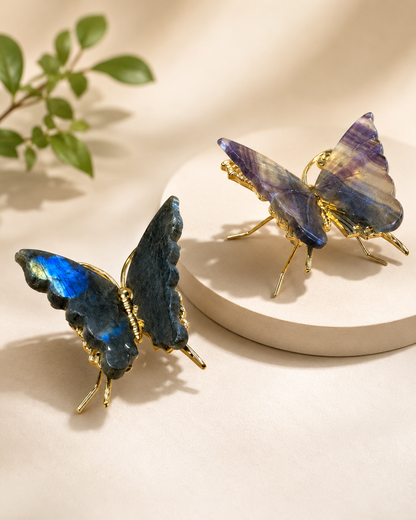 Rainbow Fluorite Crystal Butterfly