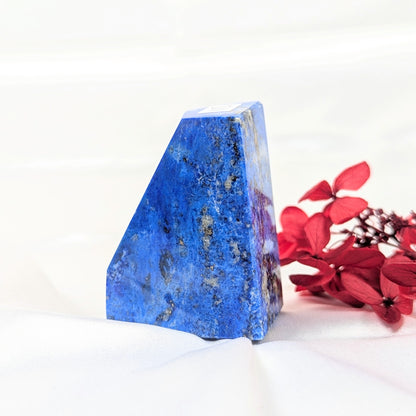 Lapis Lazuli Healing Crystal Freeform Back