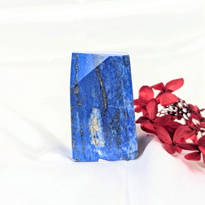 Lapis Lazuli Healing Crystal Freeform Back