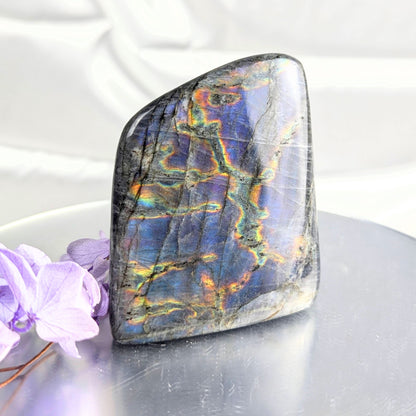 Labradorite Freeform W-264