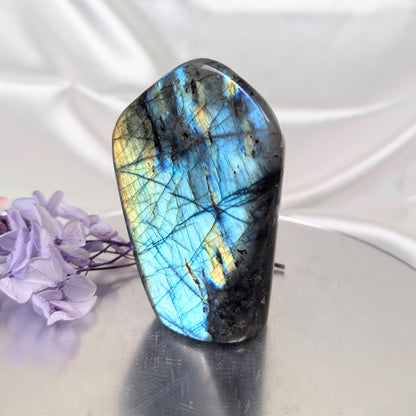 Labradorite Freeform O-286