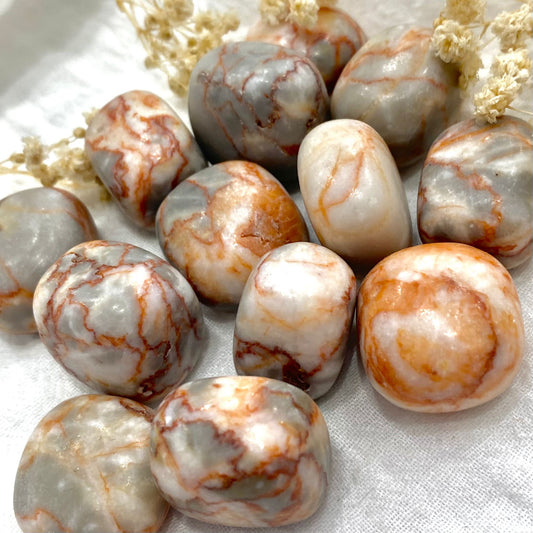 Red Network Jasper Crystal Tumblestones.