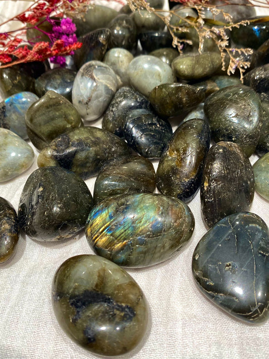 Medium labradorite tumblestones in dark green-browns, greys and pale beige, some with rainbow flecks in the light.