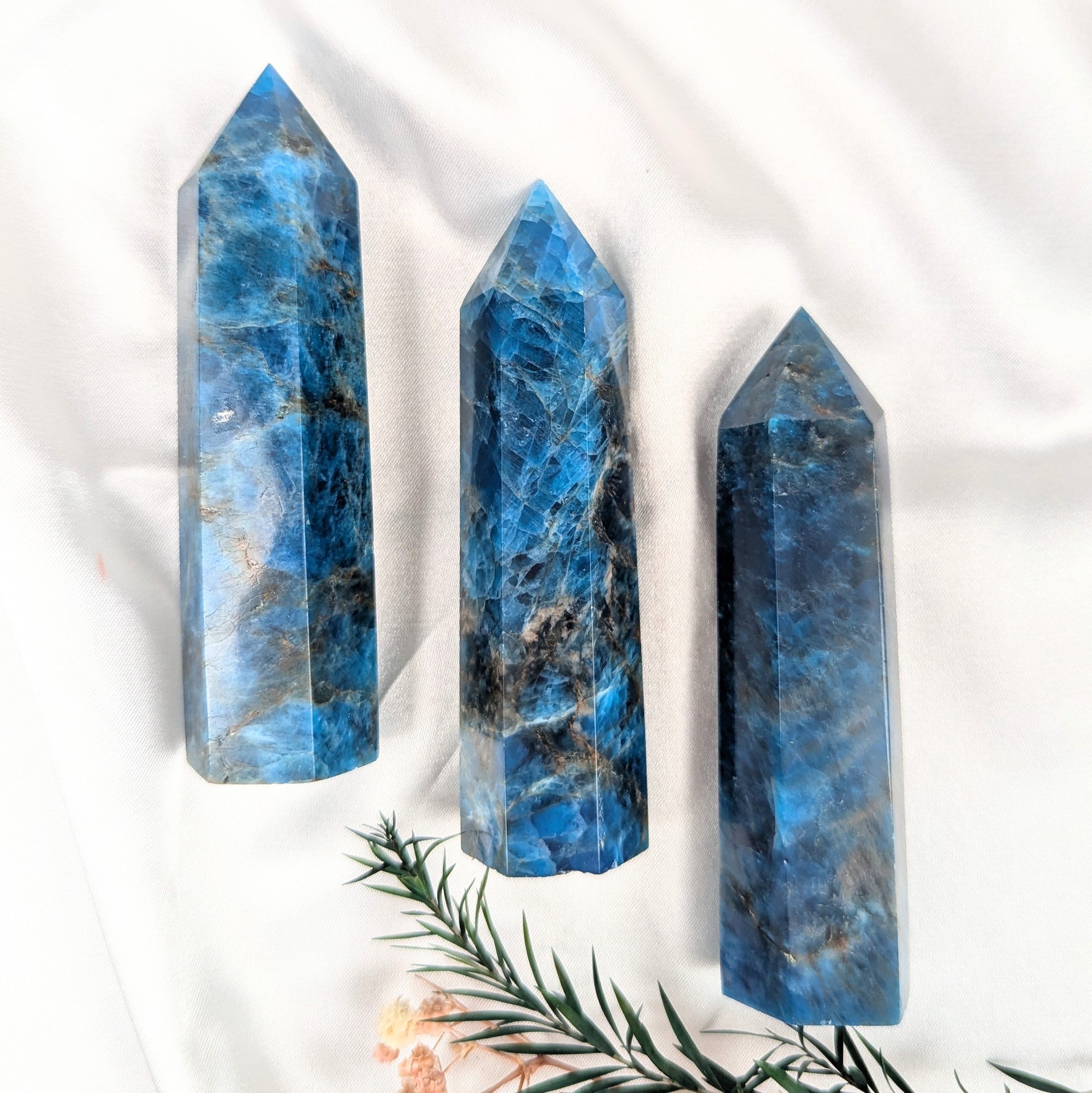 Apatite Crystal  Point 